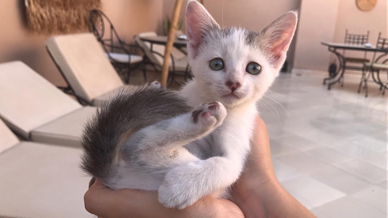 Riad Dar Nossa Marakeş Dış mekan fotoğraf